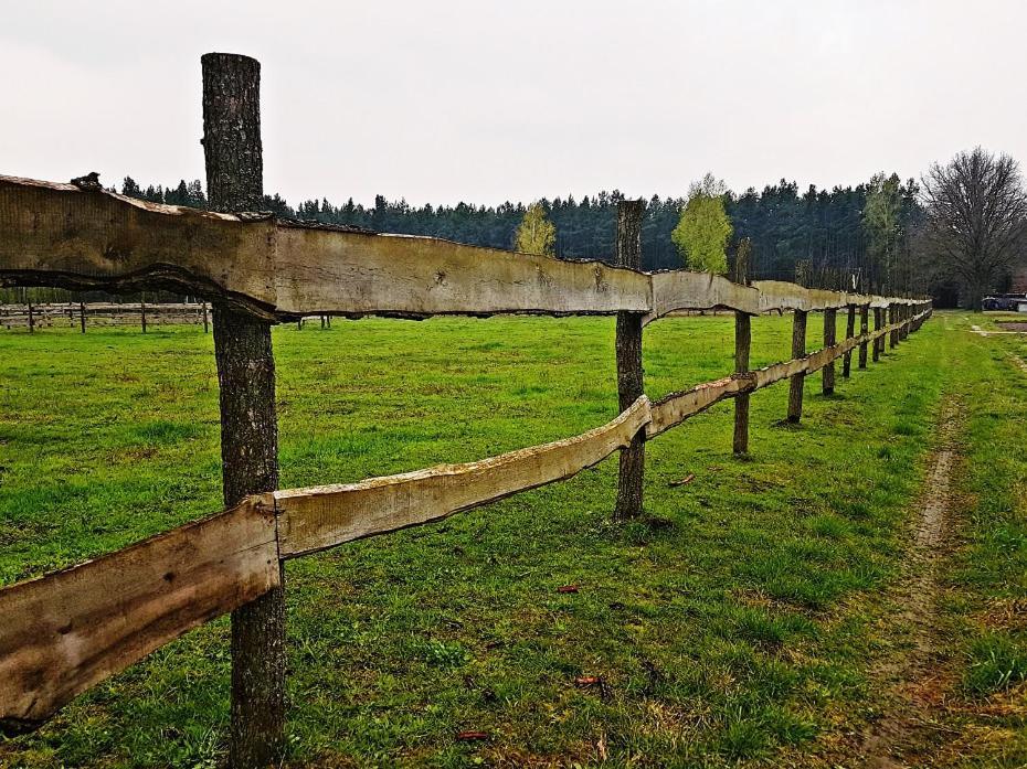 Agroturystyka Pod Modrzewiami Nowy Tomyśl Exterior foto