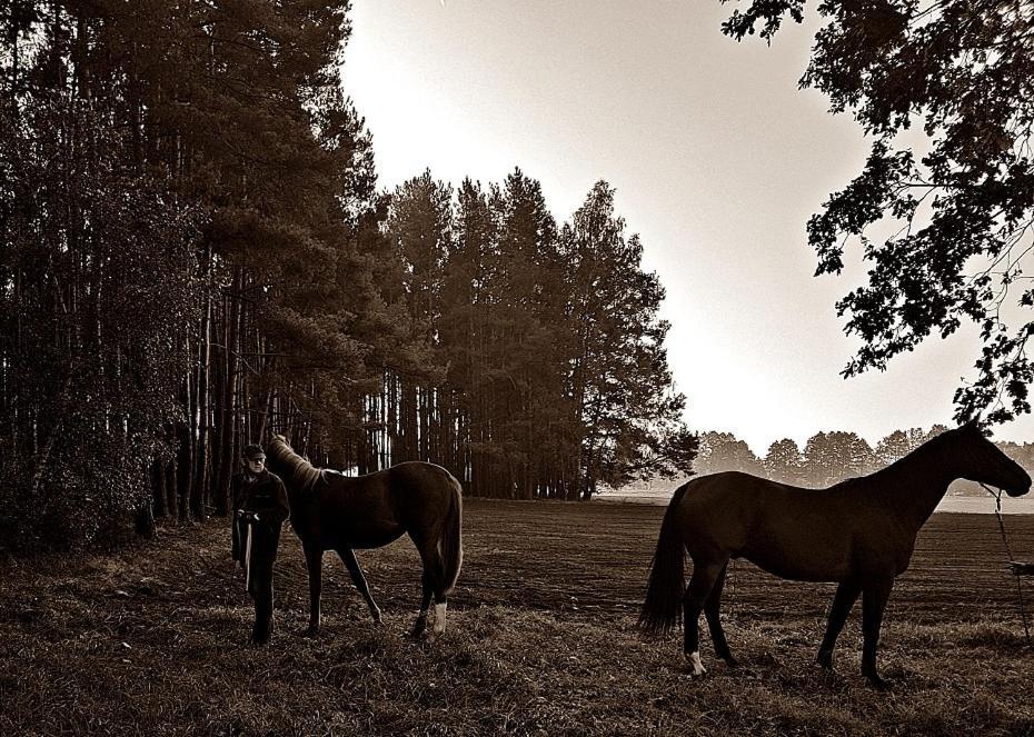 Agroturystyka Pod Modrzewiami Nowy Tomyśl Exterior foto