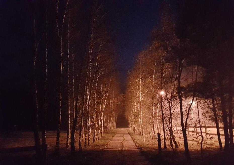 Agroturystyka Pod Modrzewiami Nowy Tomyśl Exterior foto