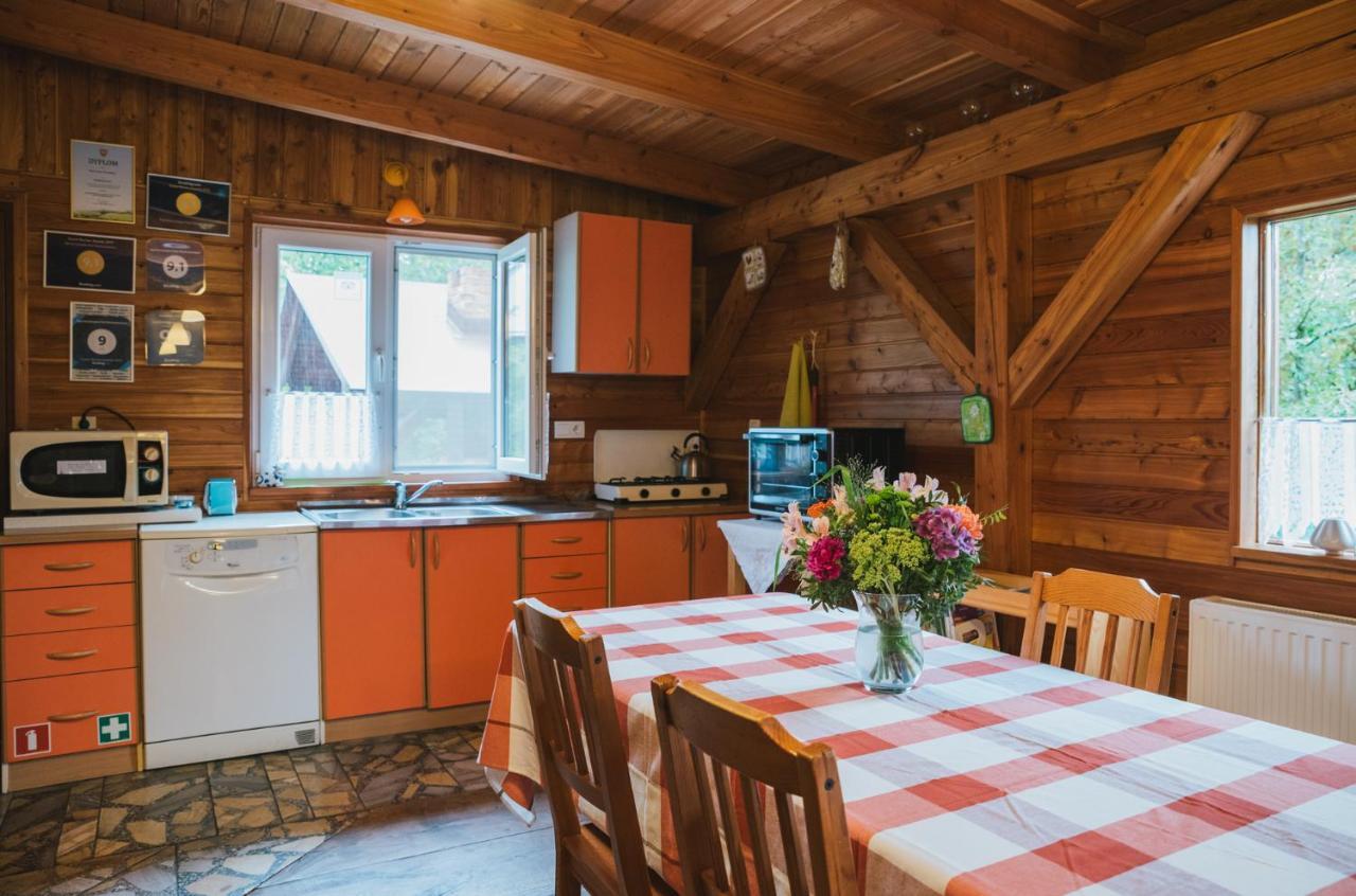 Agroturystyka Pod Modrzewiami Nowy Tomyśl Exterior foto
